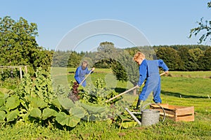 Farm Boys helping in vegetable garden