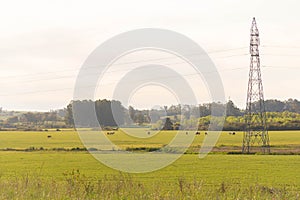 Farm and breeding area in the fields of the Pampa Biome in South America