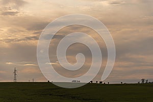 Farm and breeding area in the fields of the Pampa Biome in South America