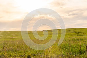 Farm and breeding area in the fields of the Pampa Biome in South America