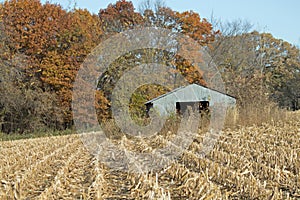 Farm Building in Corn and Fall Colors