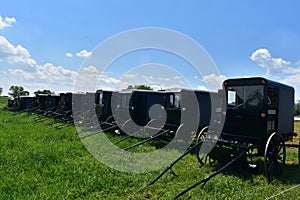 Farm with a Bunch of Parked Amish Buggies in a Field