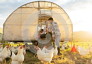 Farm, chicken and man and woman on agriculture field in the countryside for hen farming in summer. Poultry, farmer and