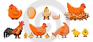 Farm chicken pixel art. Chick hatching from egg, hen on nest, rooster and baby chicks retro 8 bit video game style photo