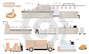 Farm chicken production process stages, cartoon automated processing factory line photo