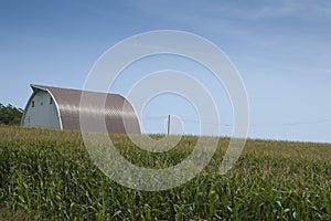 Farm on Corn Field