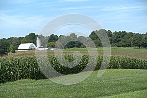 Farm and Corn Field in Powhatan Virginia