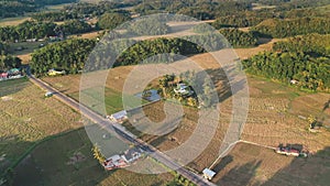 Farm cottage at rice paddy terrace field aerial. Rural nature landscape. Chocolate hill green jungle