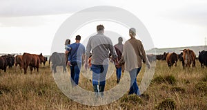 Farm, countryside and family with cows on agriculture grass field in nature. Farmer mother, dad and kids with