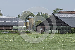 Farm with cow stables, haybales and silos