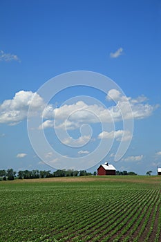 Farm, Crops and Red Barn
