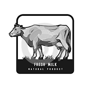 Farm dairy cow. Logo, emblem in engraved style. Vector illustration.