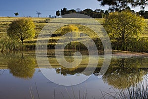 Farm dam with reflections and trees