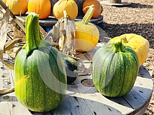 Farm decor pumkins on wooden pallets in countryside.