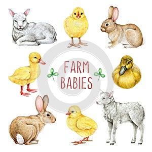 Farm domestic baby animals set. Hand drawn illustration. Hand drawn realistic lamb, chick, bunny, duckling. White