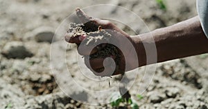 Farm, earth and hands of farmer in soil to check nutrients, fertile ground and rich environment for planting