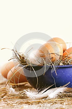 Farm eggs in blue bowl with straw