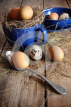 Farm eggs in blue cup and spoon