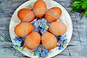 Farm eggs from the chicken on a plate