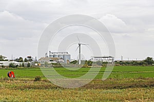 Farm with an electricity windmill