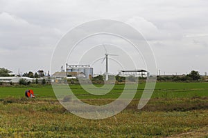 Farm with an electricity windmill