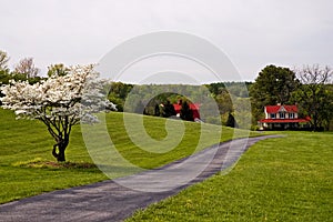 Farm at the end of the Lane