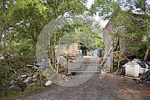 Farm entrance with chickens and rubbish