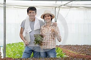 Farm entrepreneur checking quality of hydroponic vegetables product before harvest and sell to customer