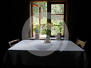 farm, farmhouse, rural, residence, flower, table, home, house, b