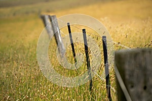 farm fence, electric wire fence on a wooden pine post fence post on a farm in australia