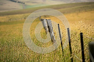 farm fence, electric wire fence on a wooden pine post fence post on a farm in australia