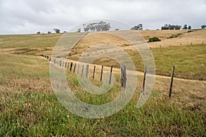 farm fence, electric wire fence on a wooden pine post fence post on a farm in australia