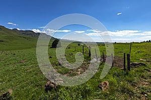 Farm fence and green pastures