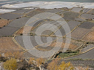 farm field