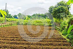 Farm field already fertilized and ready to cultivate with bushes around and beautiful sky as background photo taken in