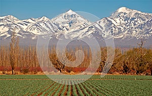 Farm field and Andes mountains