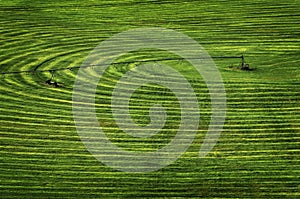 Farm Field with Circle Pivot Irrigation Sprinkler