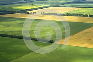 Farm Field cultivated