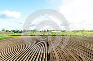 Farm field is half prepared for planting. Marking the field in rows. Agricultural technology and standardization. Organization and