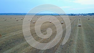 Farm Field With Hay Bales