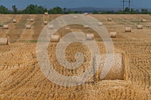 Farm field haystack agriculture landscape. Haystack harvest landscape