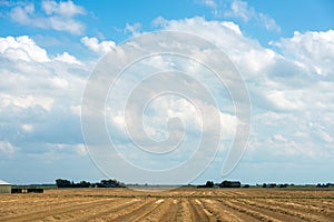 Farm field in holland