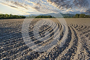 Farm field with plow curves