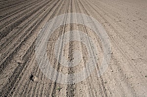 Farm field prepared for planting with footsteps