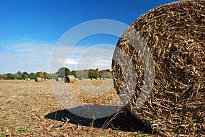Farm Field, Round Hay Bales