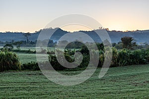 Farm field at sunrise with mountain and forest