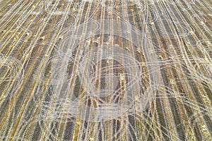 Farm field with tractor traces after harvest