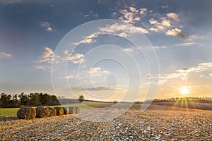 Farm field in winter