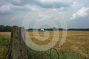 Farm field with wire fence and white buildings