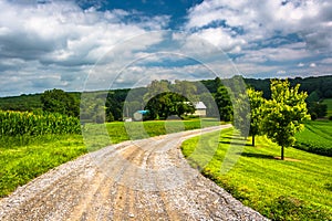 Farm fields along a dirt road in rural Carroll County, Maryland. photo
